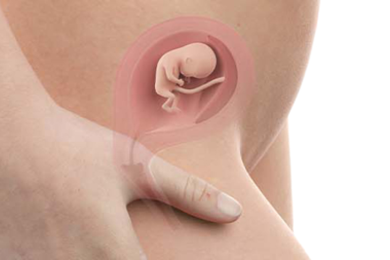 13 weeks pregnant