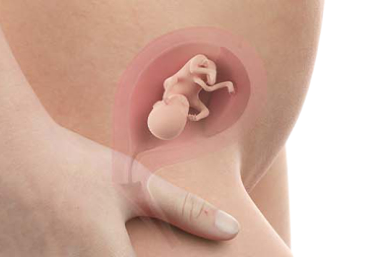 14 weeks pregnant
