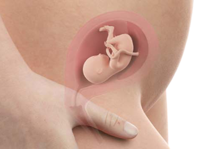 16 weeks pregnant