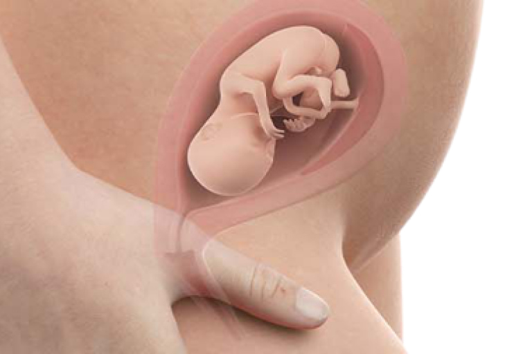 19 weeks pregnant