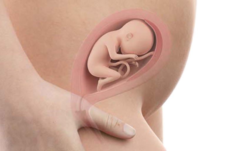 20 weeks pregnant