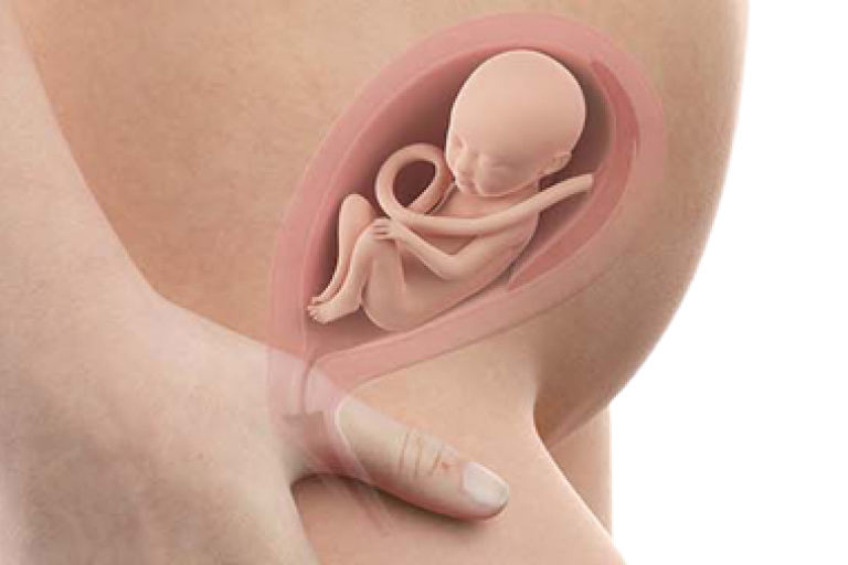 21 weeks pregnant