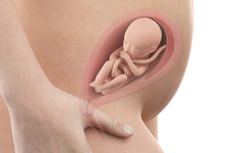 23 weeks pregnant