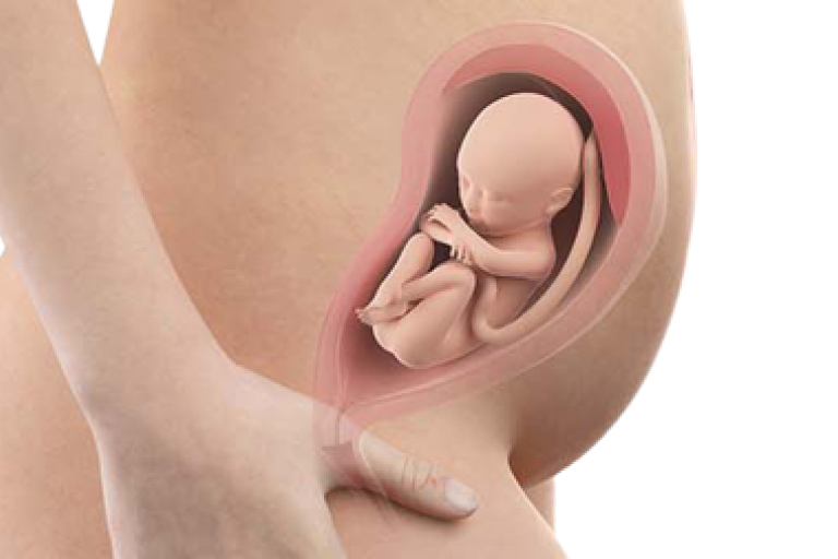 27 weeks pregnant