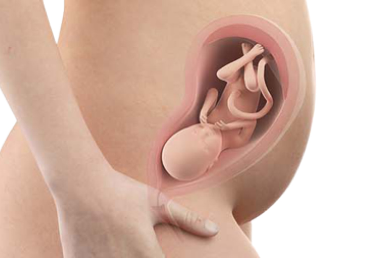 28 weeks pregnant