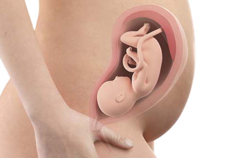 29 weeks pregnant