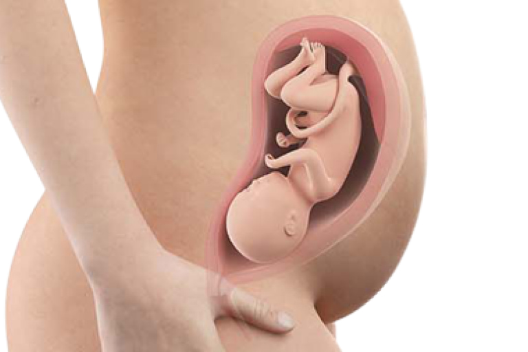 31 weeks pregnant
