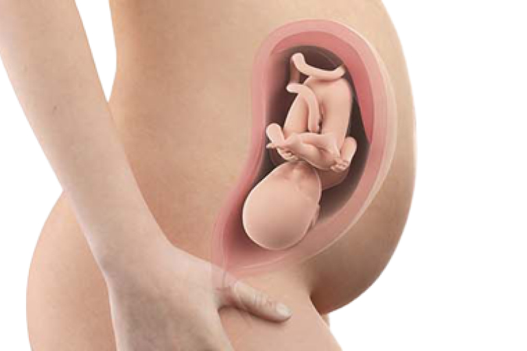 32 weeks pregnant