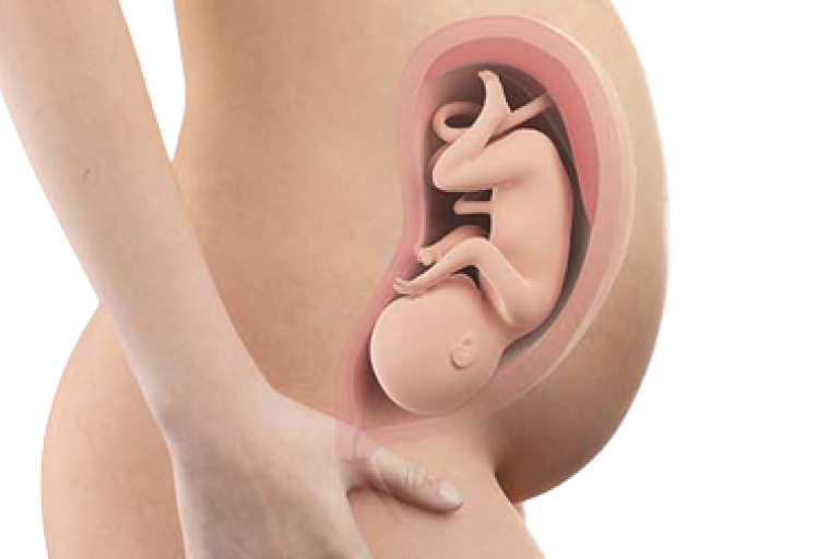 33 weeks pregnant