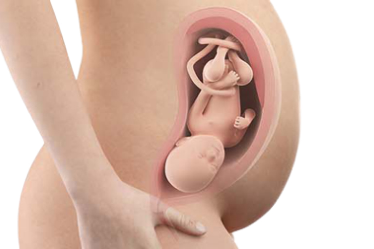 34 weeks pregnant