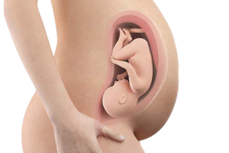 36 weeks pregnant