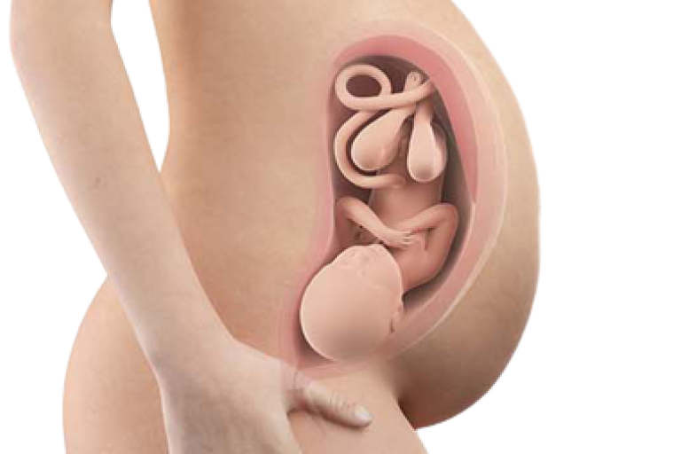 38 weeks pregnant
